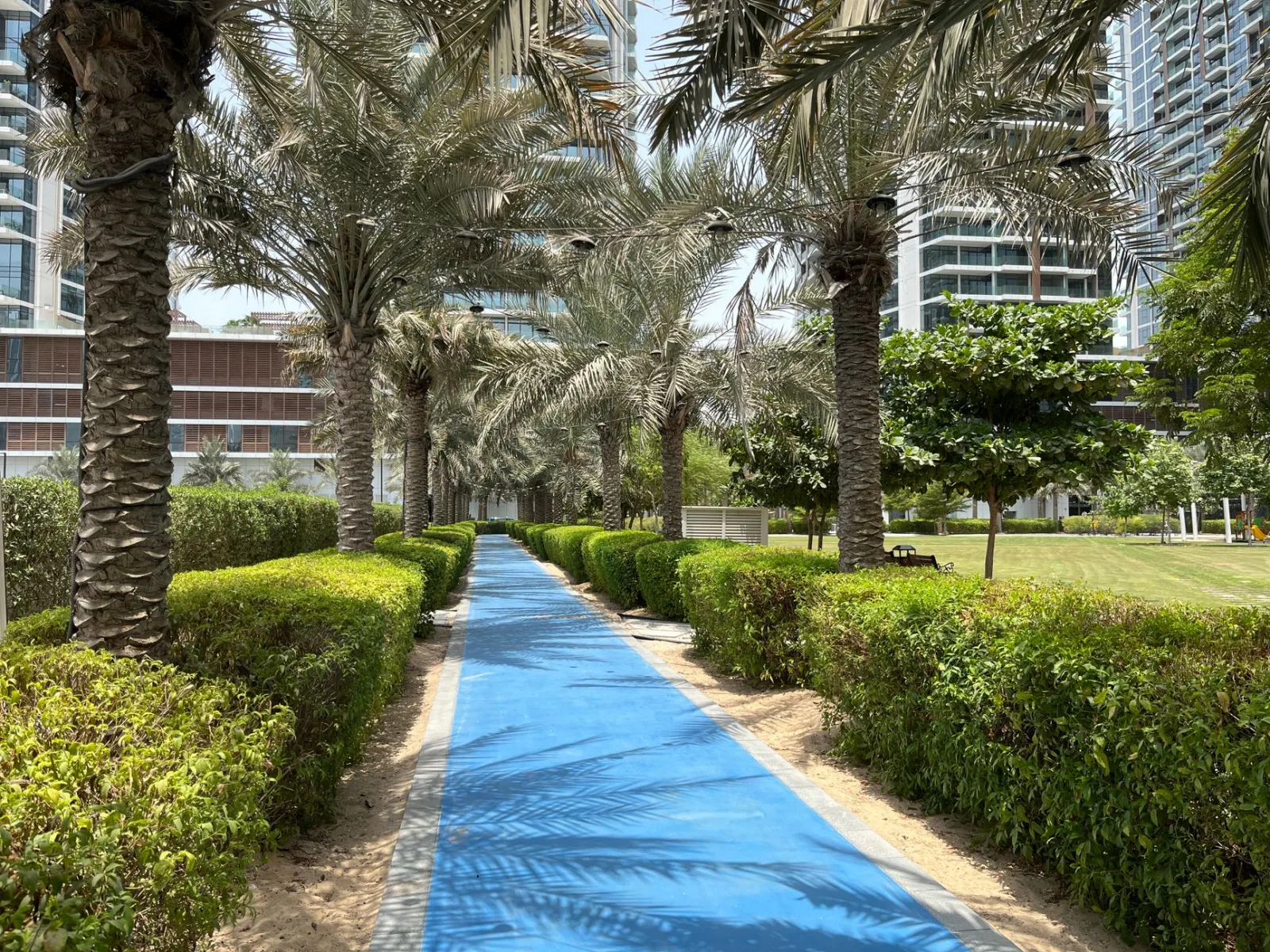 A scenic view of a palm tree-lined walkway in a Dubai park, featuring a vibrant blue path during the day.