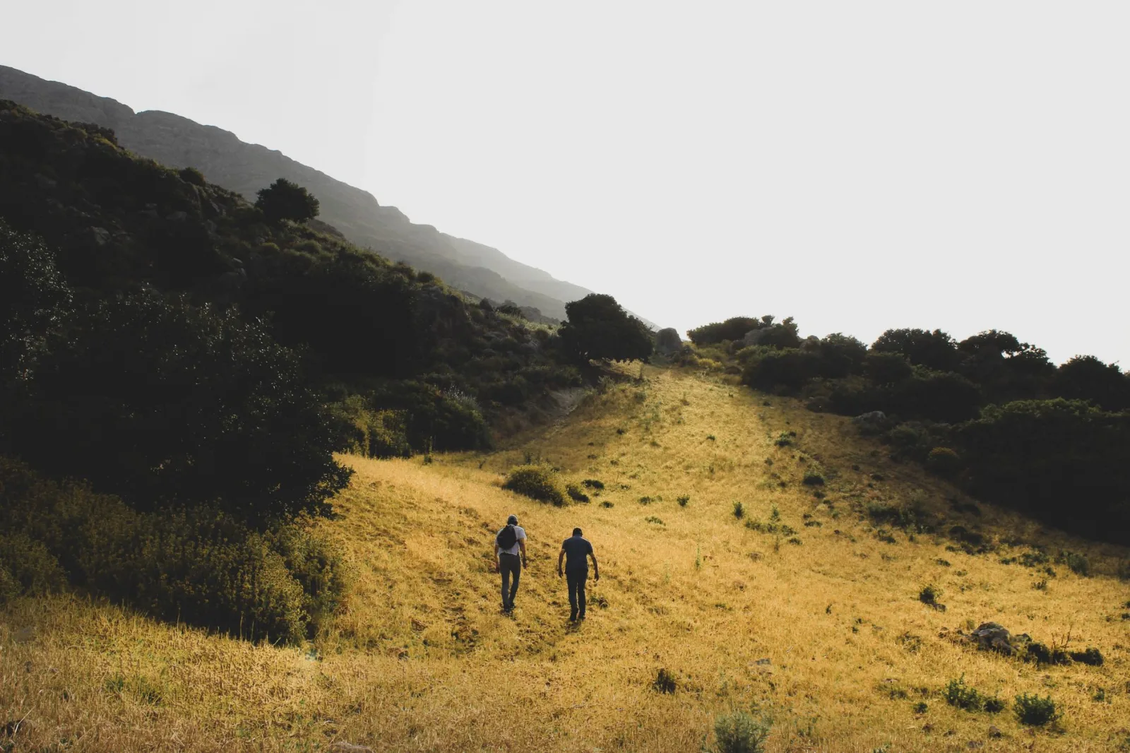 Two adults hiking through sunny mountains, capturing nature's beauty and adventure.