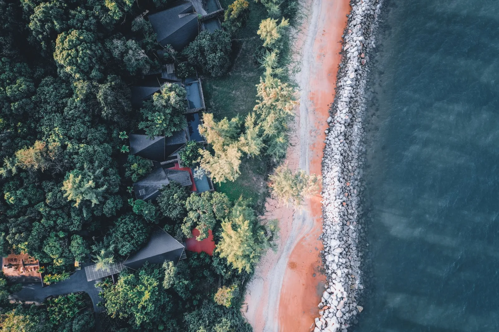 A stunning aerial view showcasing a coastline with lush forest and a rocky beach edge.