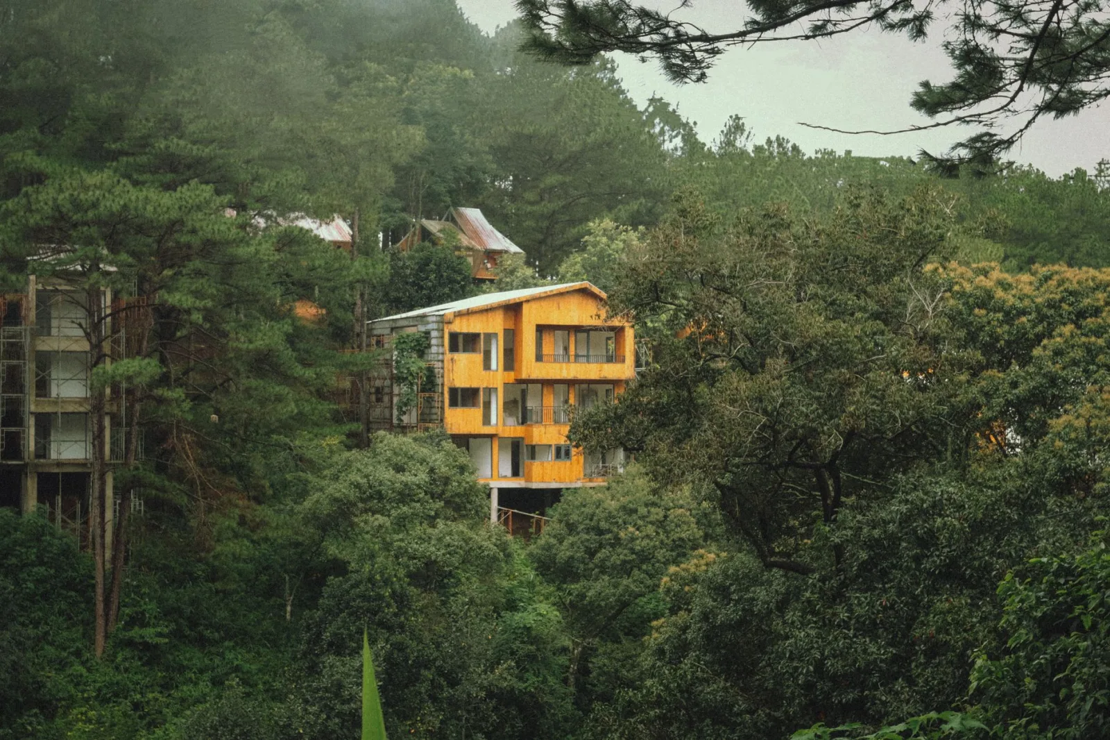 A rustic wooden house nestled among lush green trees, showcasing tranquil forest scenery.