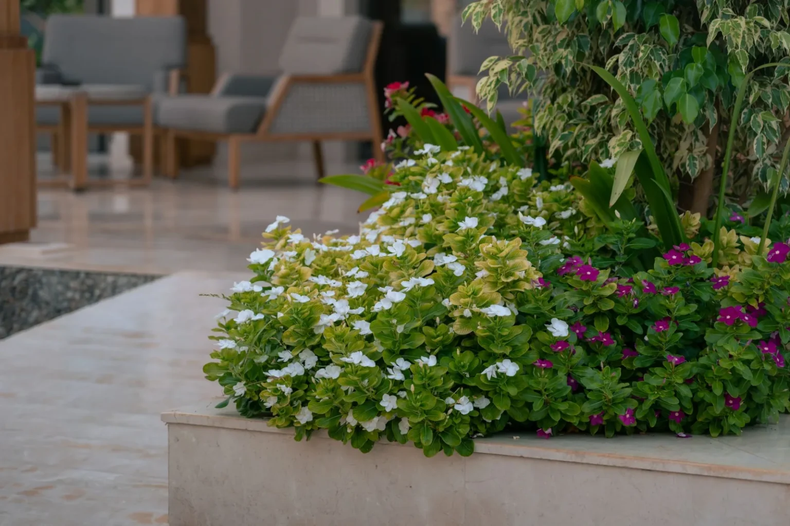 Vibrant indoor garden in a Dubai hotel featuring lush green plants and colorful flowers.