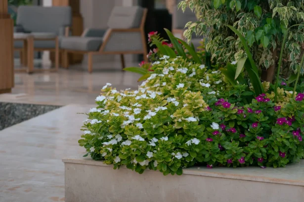 Vibrant indoor garden in a Dubai hotel featuring lush green plants and colorful flowers.