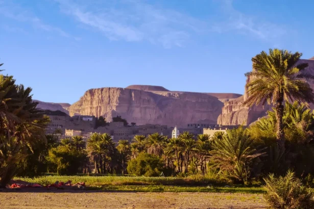 A picturesque oasis town in Yemen with lush palm trees set against majestic cliffs.