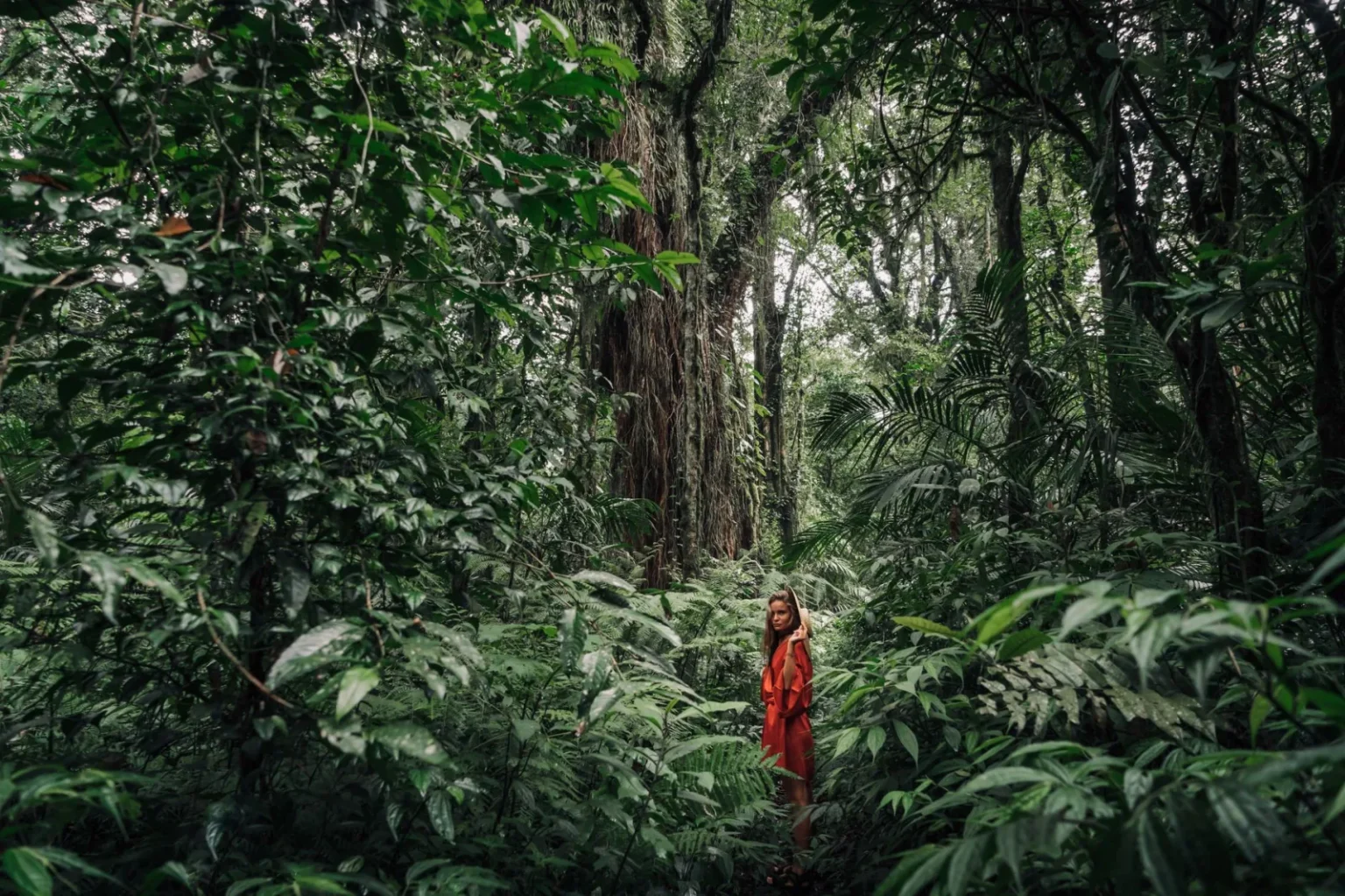 Woman in a vibrant red dress exploring a dense, lush jungle with abundant greenery.