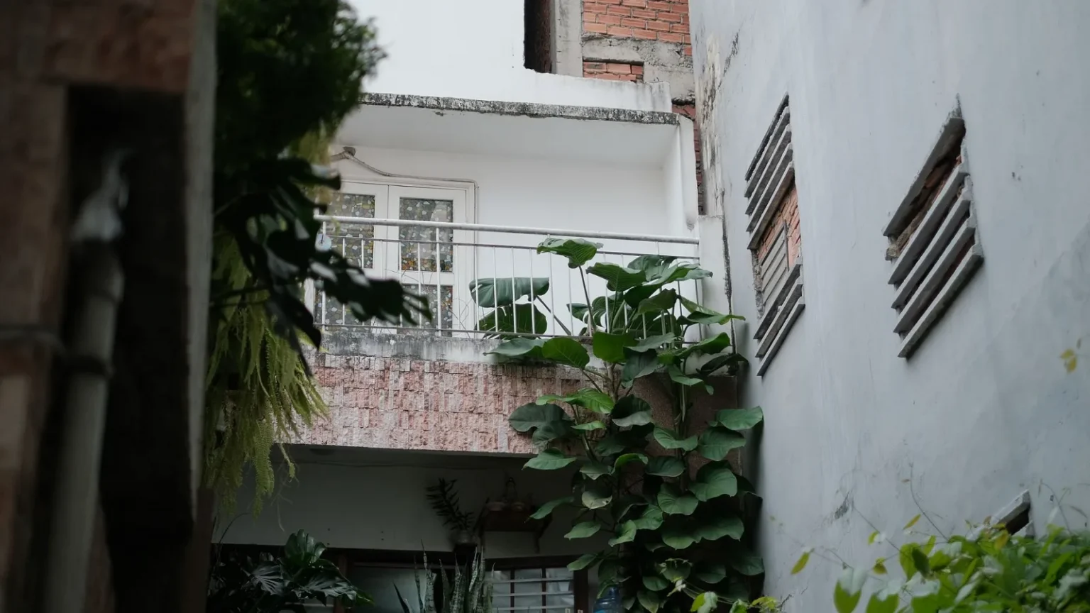 An outdoor balcony adorned with vibrant green plants against urban architecture.
