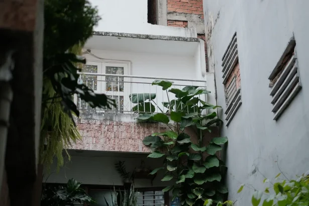 An outdoor balcony adorned with vibrant green plants against urban architecture.