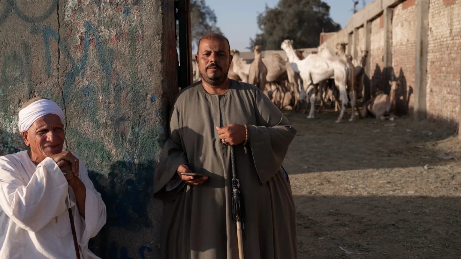 Two men in traditional attire at an Egyptian camel market with camels in the background.