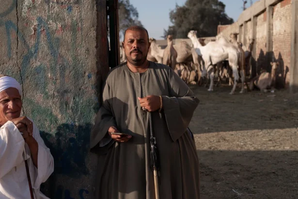 Two men in traditional attire at an Egyptian camel market with camels in the background.
