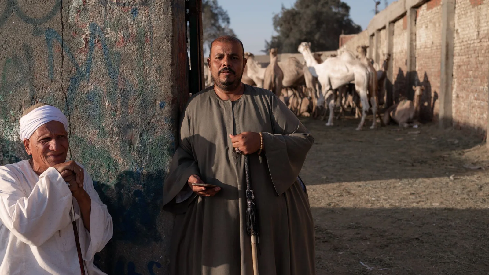 Two men in traditional attire at an Egyptian camel market with camels in the background.