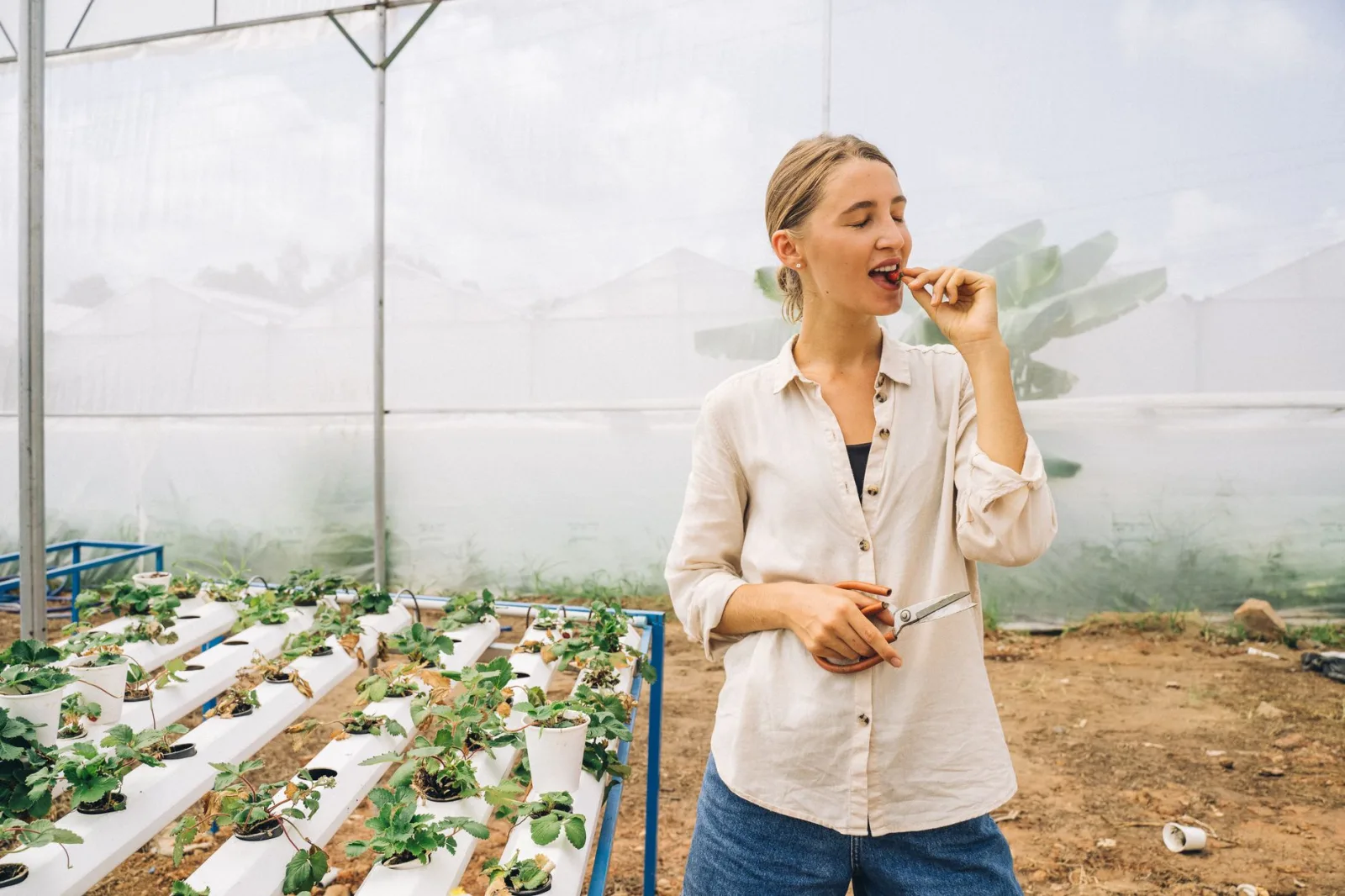 Woman sampling fresh produce in a greenhouse with hydroponic farming setup.