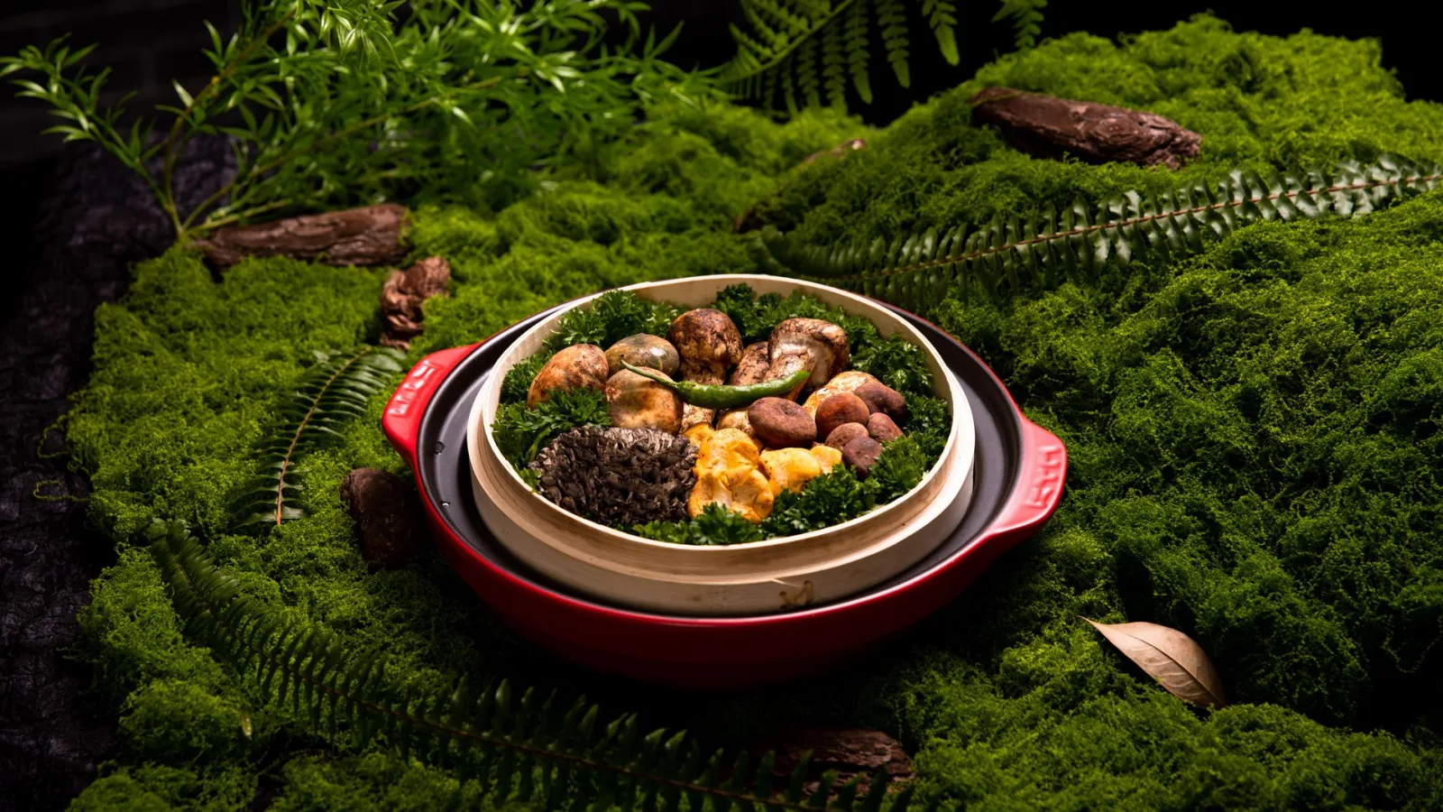 A gourmet dish featuring assorted mushrooms and herbs placed artistically on a mossy backdrop.