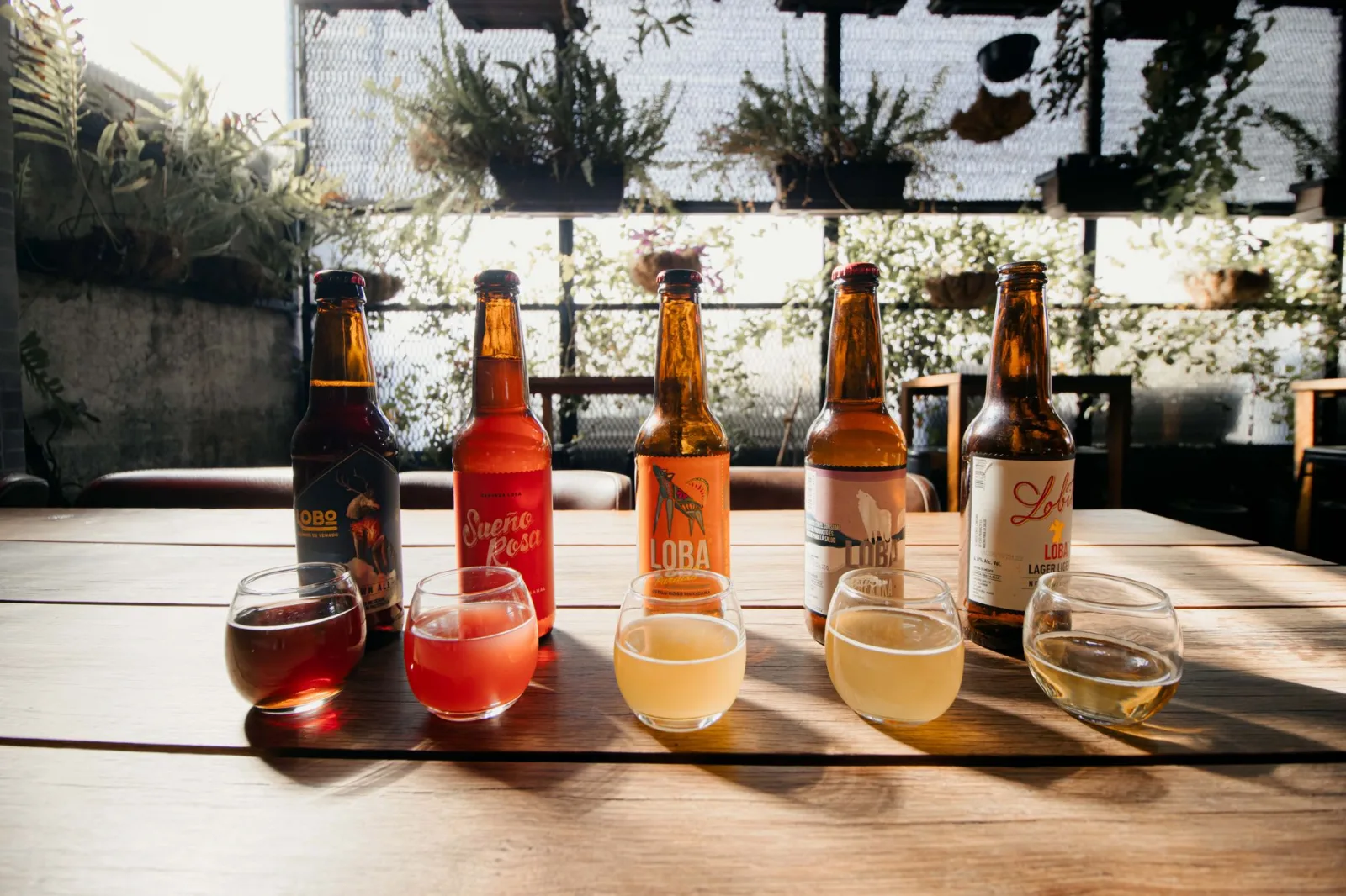 Explore a diverse selection of craft beers in a sunlit café setting in Mexico City, perfect for beer enthusiasts.