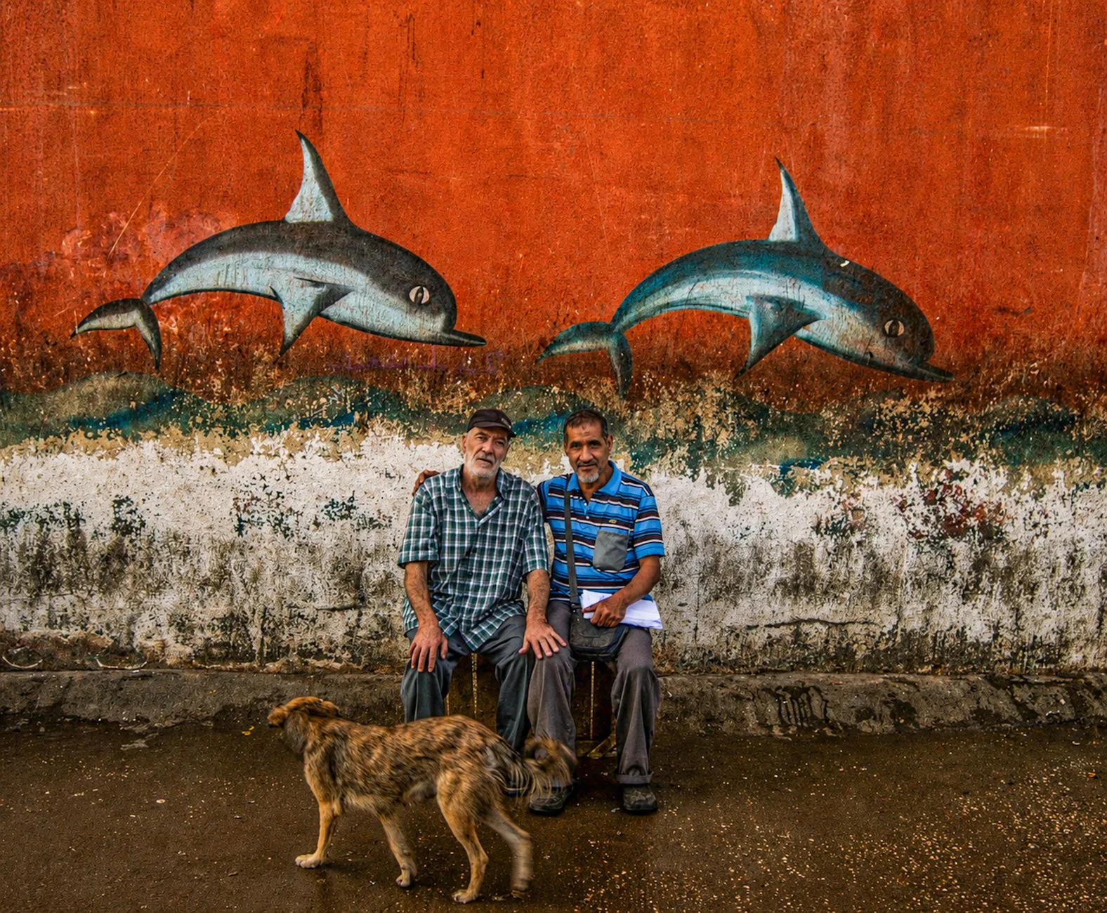 Two men posing by a dolphin mural in Cairo, Egypt, with a stray dog passing by.