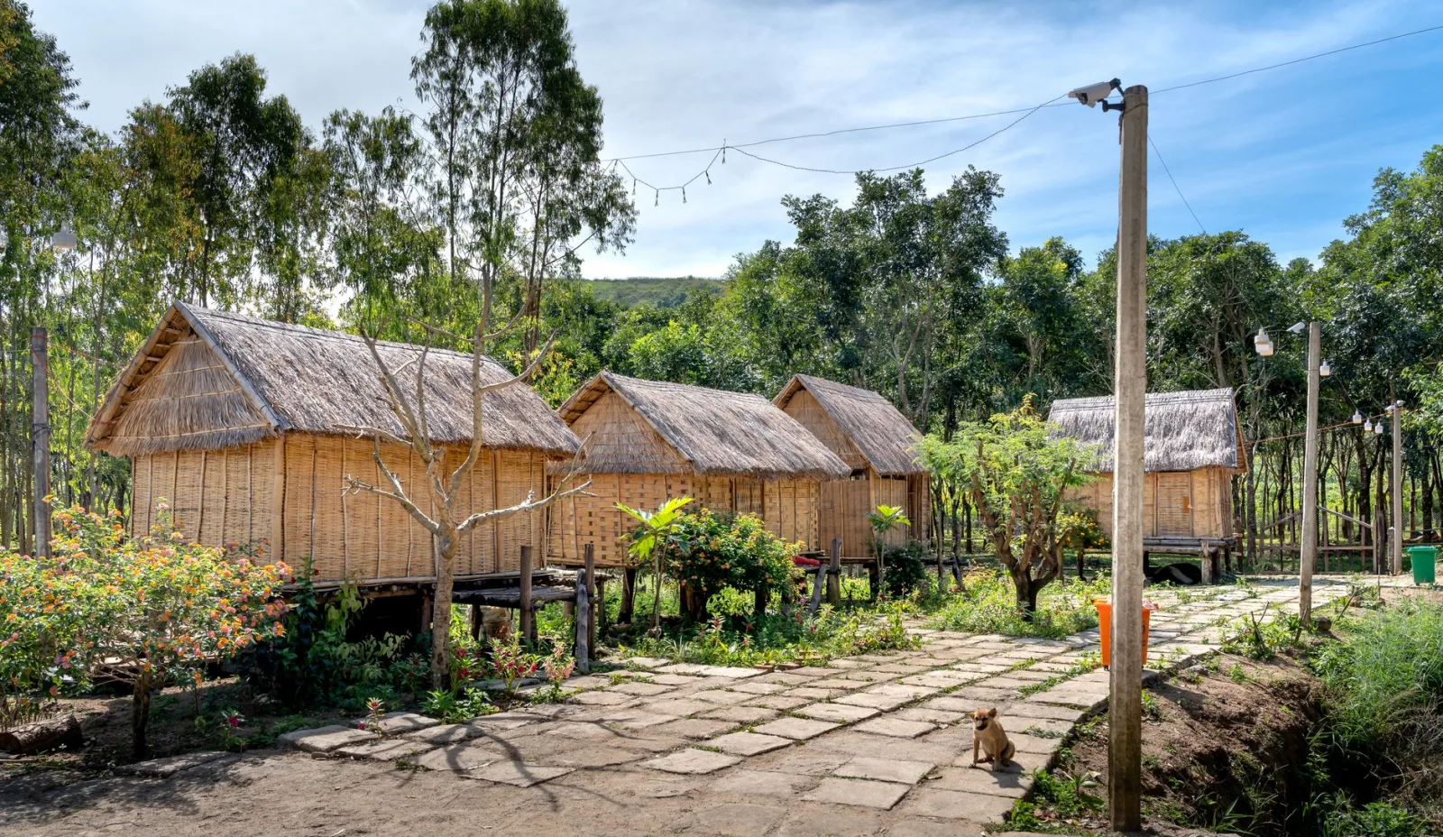 Charming bamboo and straw bungalows nestled in a lush countryside setting with a clear blue sky.