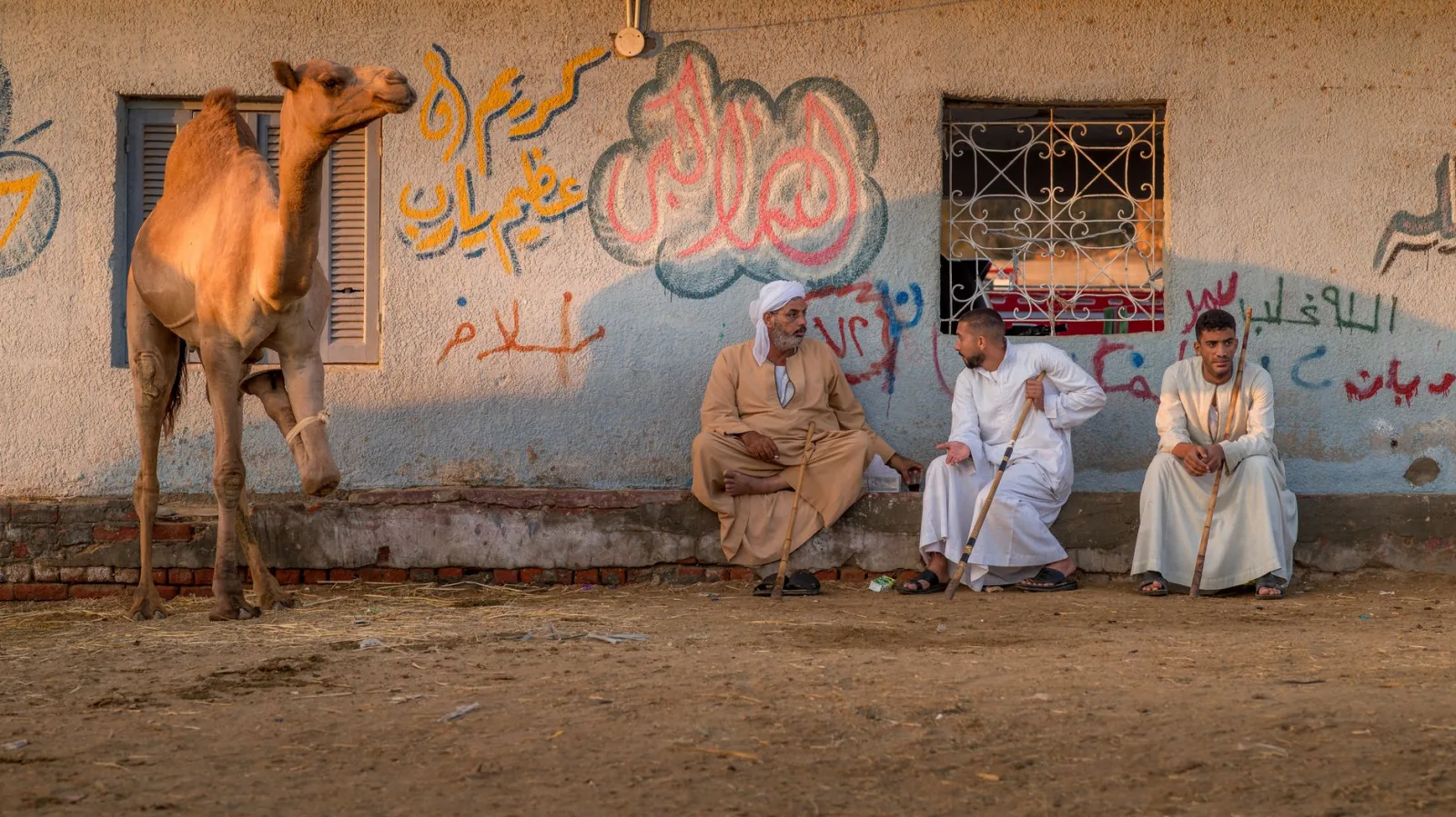 Traditional Egyptian men and a camel by a graffiti wall in Cairo, capturing local culture.