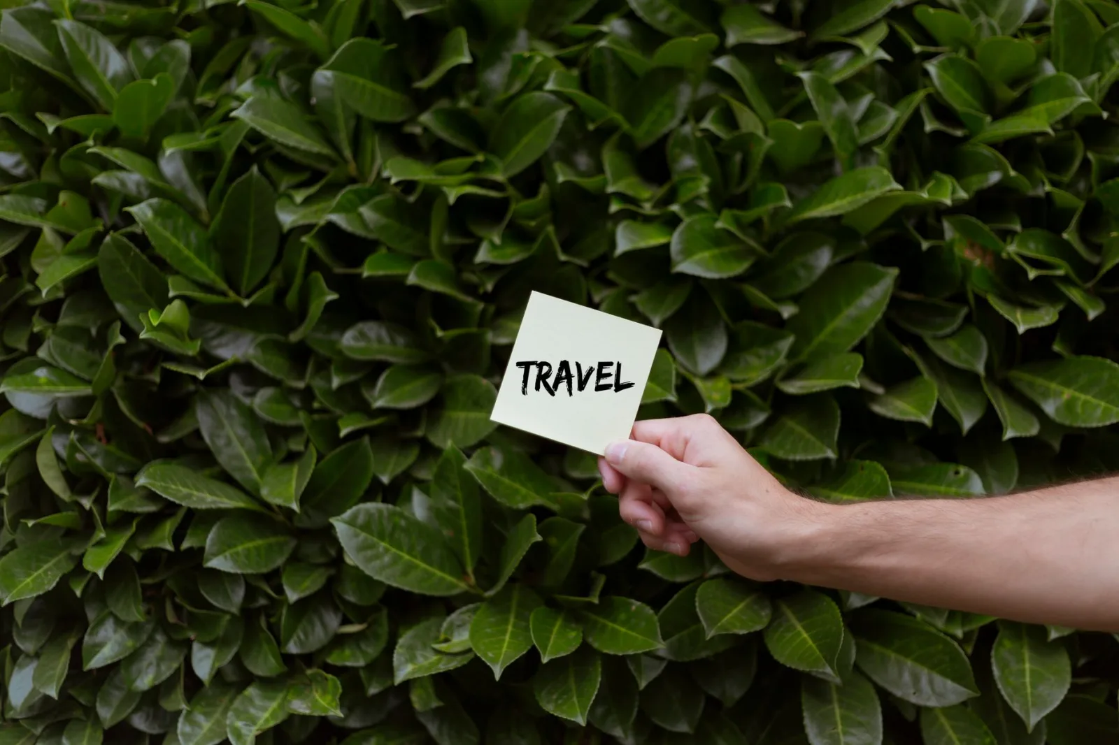 A hand holds a note with the word 'travel' against lush green leaves, symbolizing exploration.