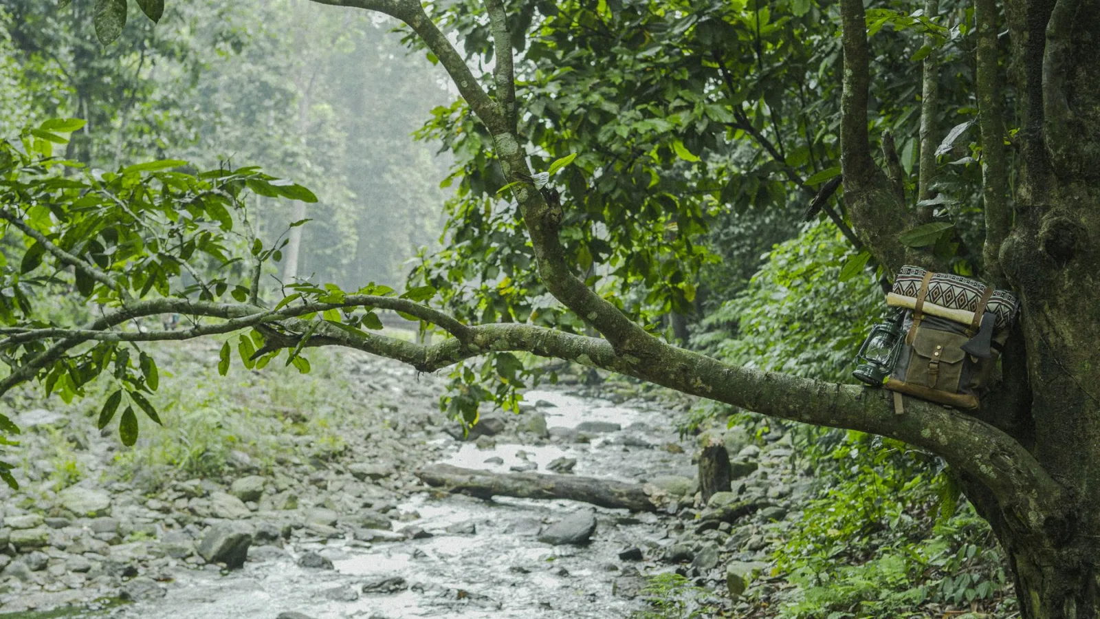 Tranquil forest scene with backpack by a stream in Phú Thọ, Vietnam.