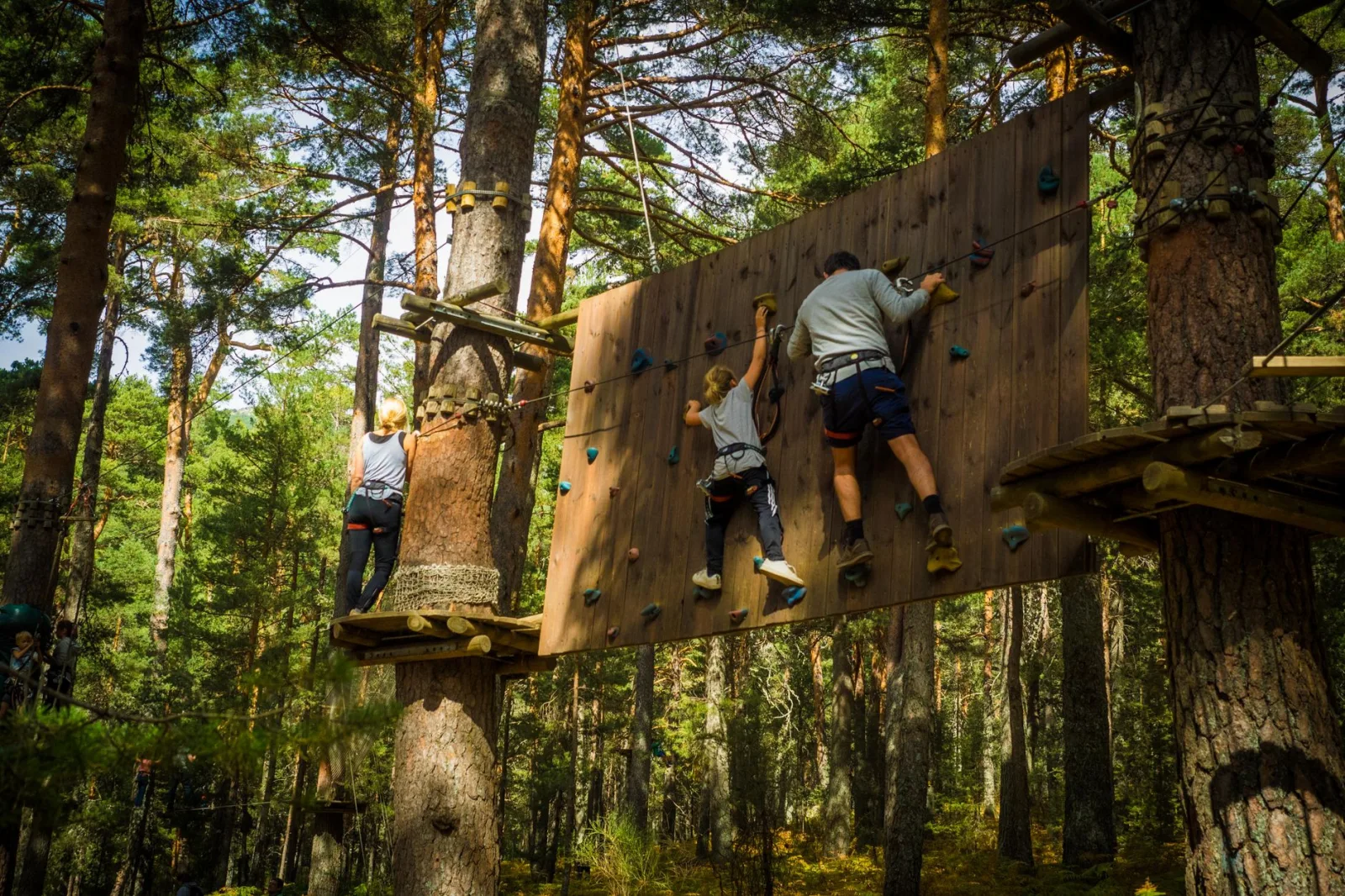 Family enjoying an outdoor climbing adventure in Cercedilla, Madrid amidst lush greenery.