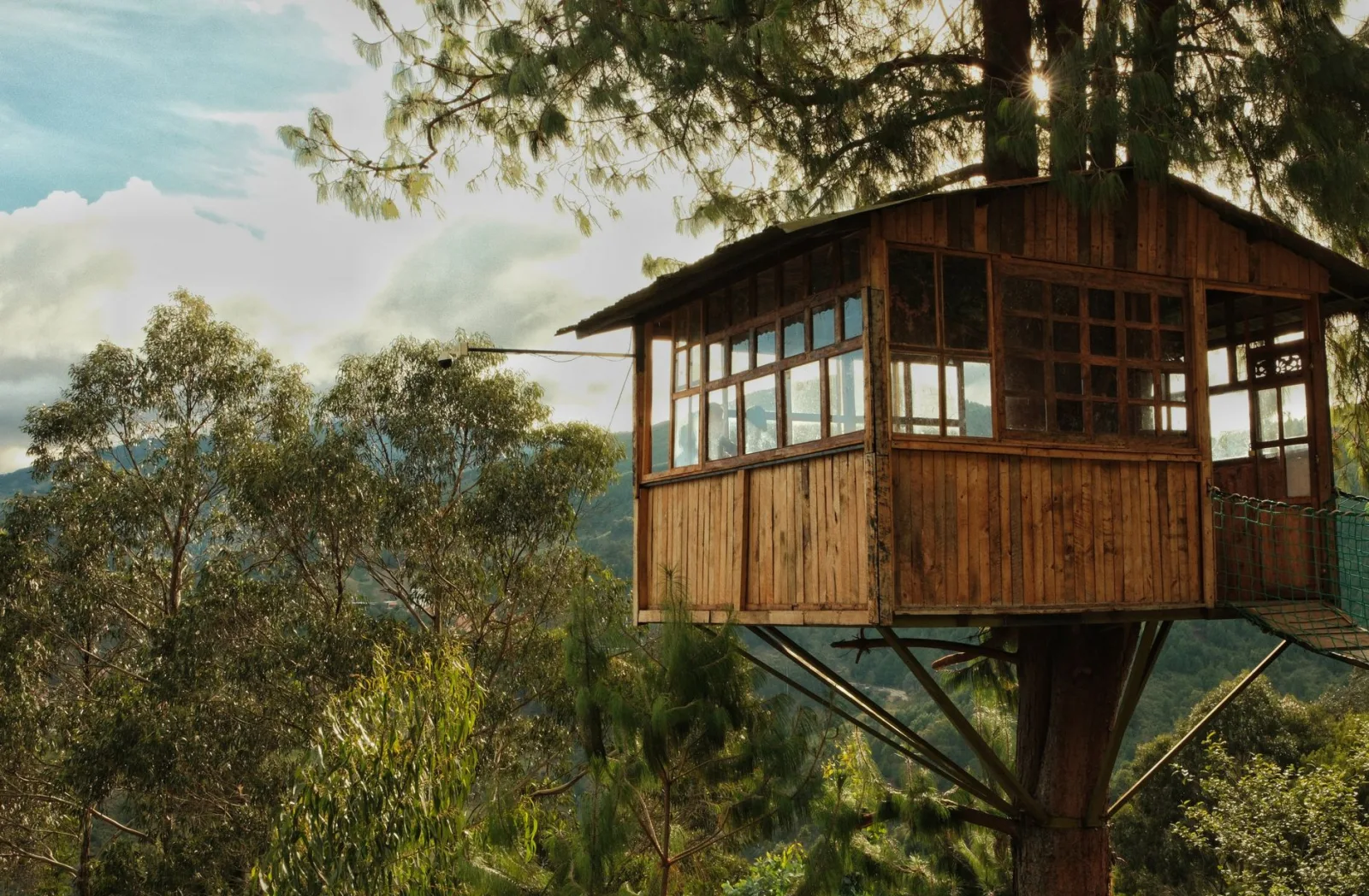 A charming wooden treehouse nestled amidst dense forest greenery during daylight.