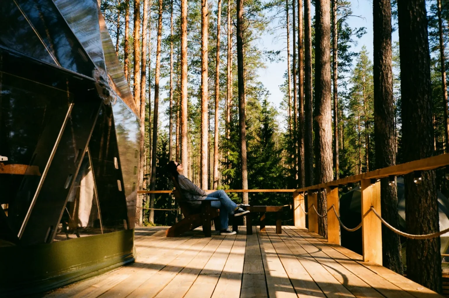 A person relaxes on a wooden deck amidst tall pine trees next to a glass dome.
